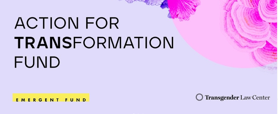 Lavender logo with pink shell design in the top right corner. Text reads: ACTION FOR TRANSFORMATION FUND. In the bottom left, the text "EMERGENT FUND" is highlighted yellow. On the left bottom corner is the logo for Transgender Law Center.