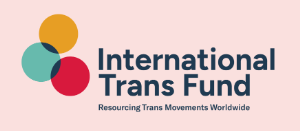 Light pink card with the "International Trans Fund" logo: three overlapping circles in orange, teal, and red, with the text "International Trans Fund" and "International Trans Movement Building Fund" next to them in navy blue.