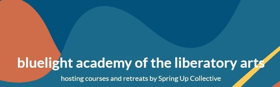 Rectangular logo divided by wavy lines colored in orange, dark blue, and teal behind the text "bluelight academy of the liberatory arts". A yellow line crosses through the bottom right corner of the logo.
