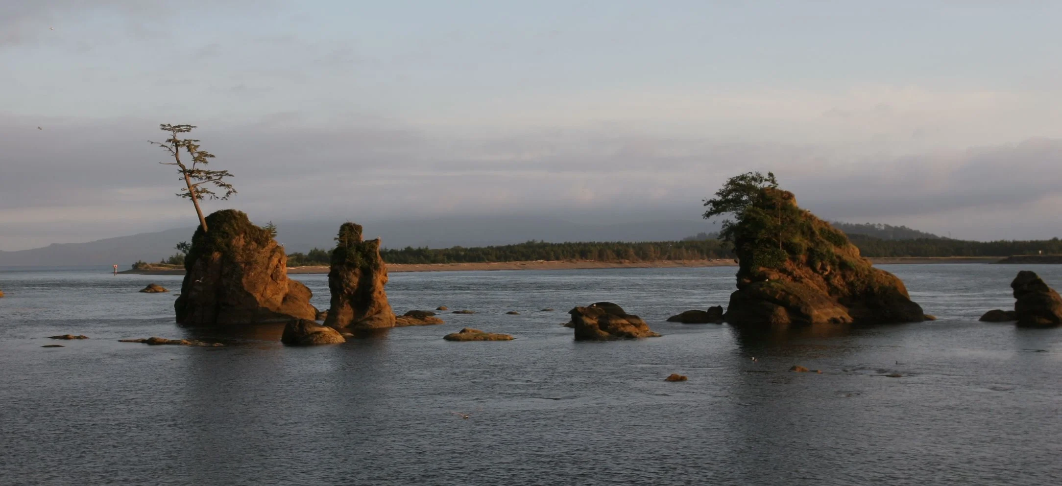 Tree Rock 2.jpg