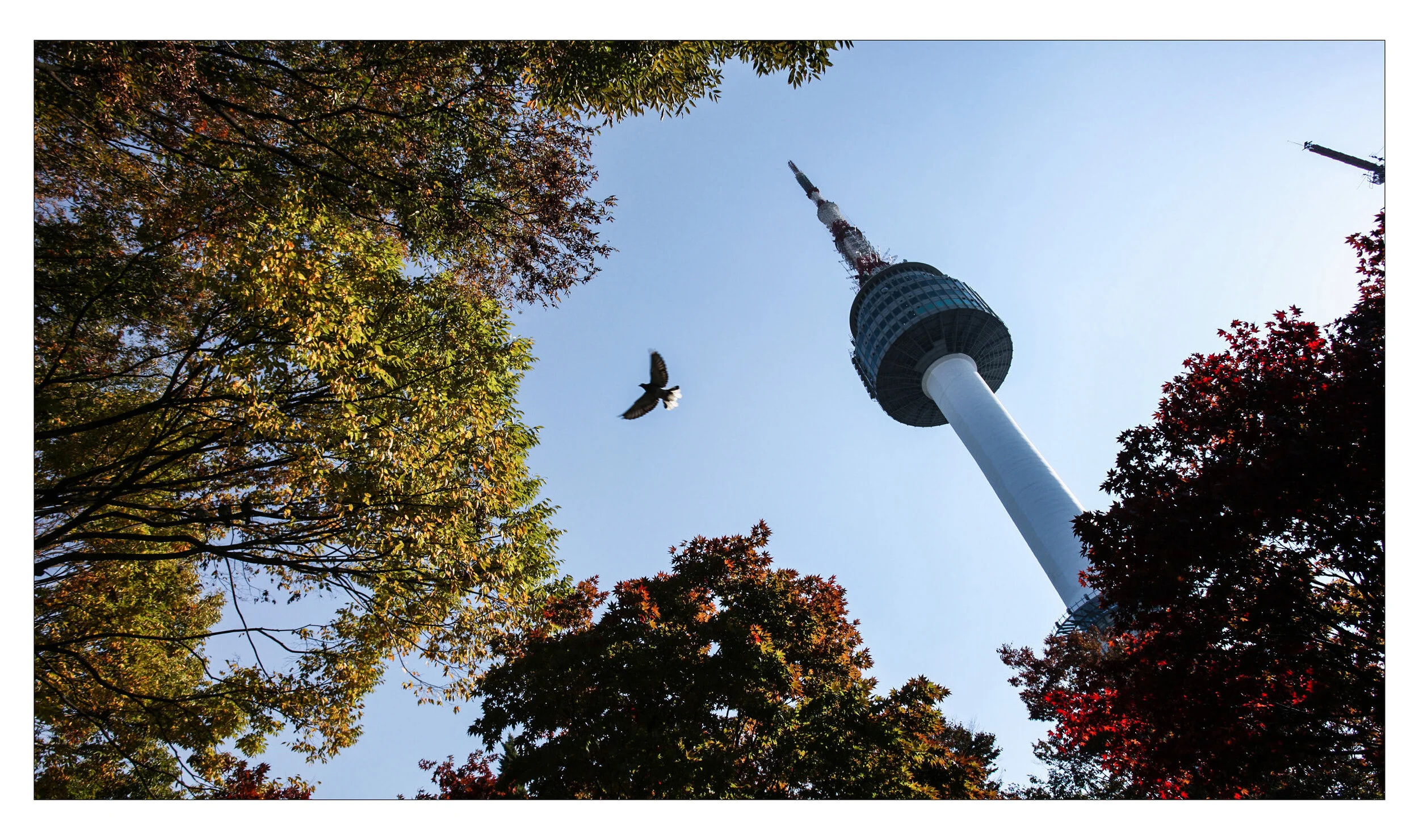 Namsan Mt_Seoul, Korea_2010