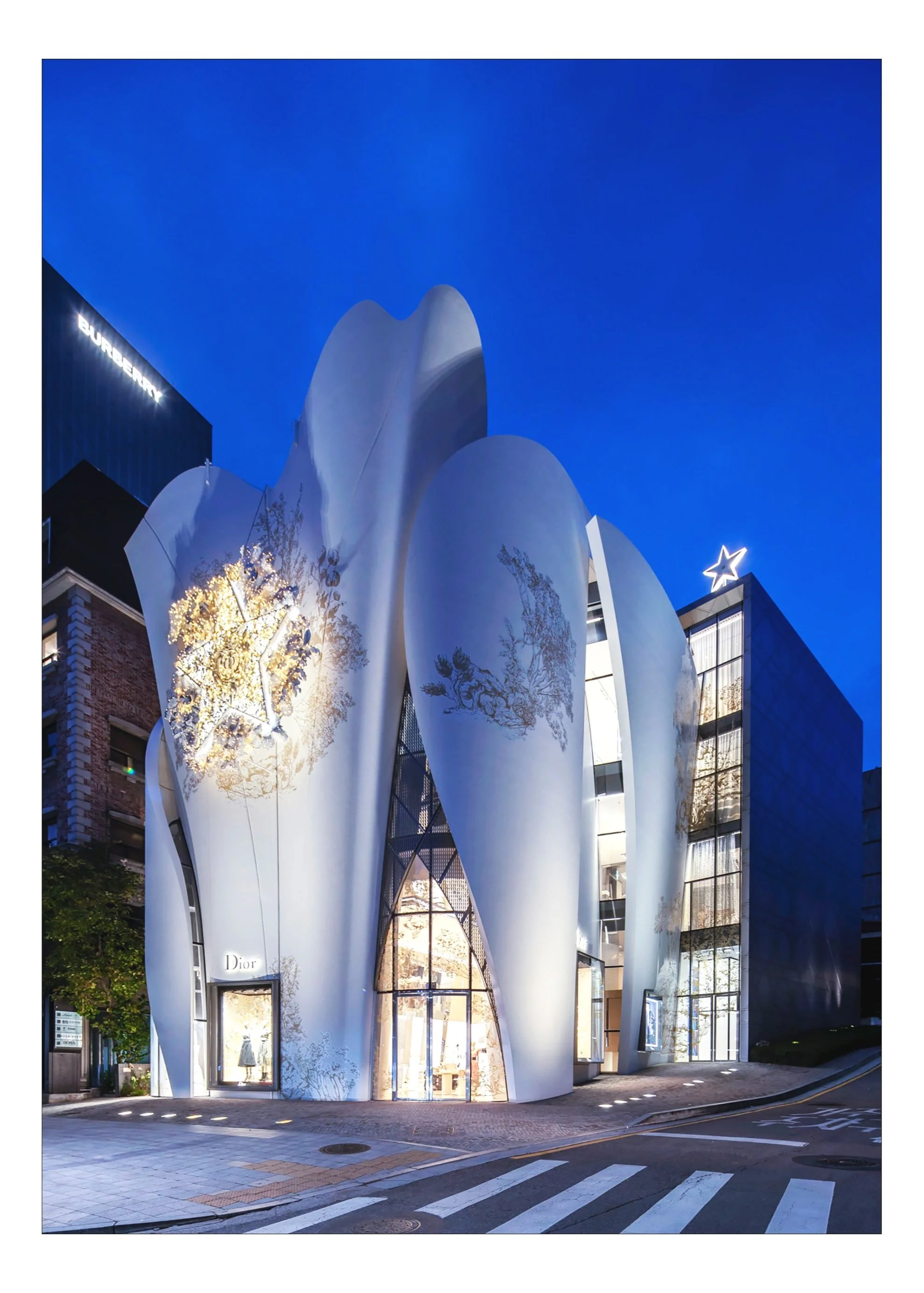 211111 HOD_Xmas_303.JPG