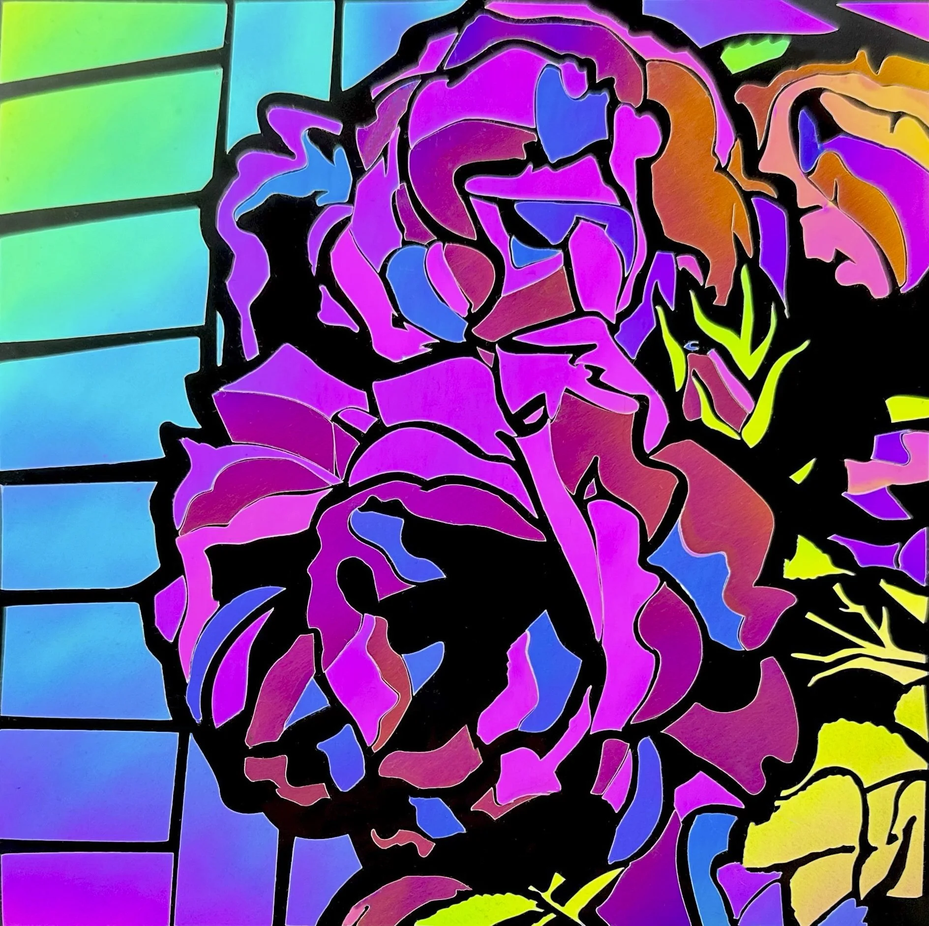Annie's Roses