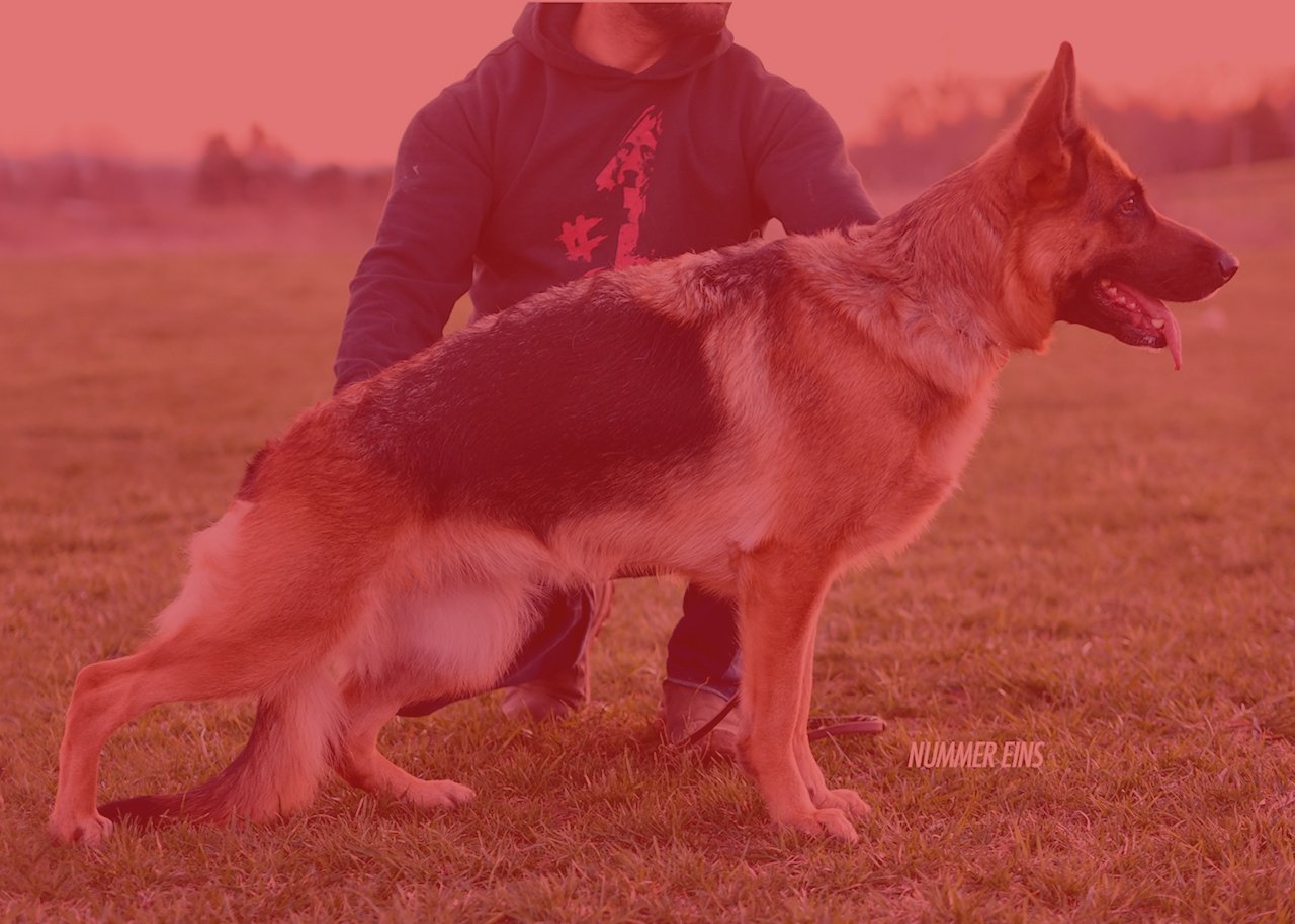 josh_fem_stand copy red.jpg