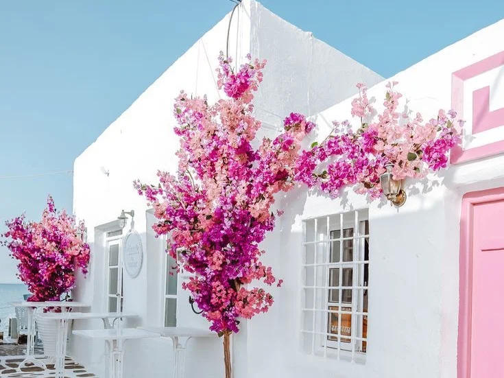 Paros – A Hidden Gem In The Greek Islands.jpg