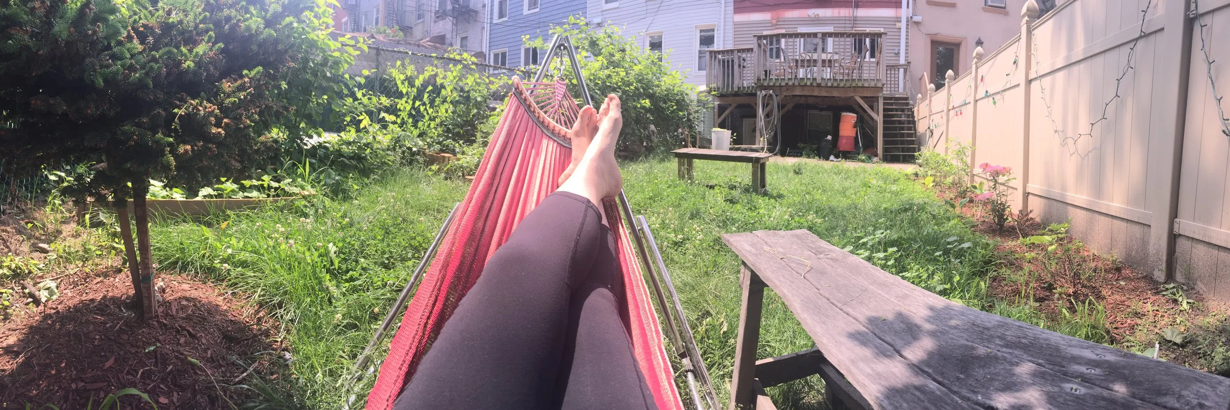 View from the hammock