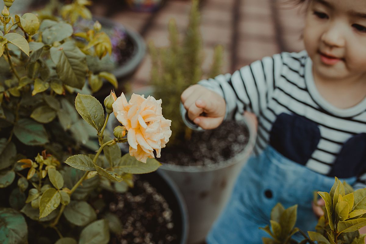 daughter is curious about yellow flower and leans out to touch flower. capturing your child's curiosity and fleeting family moments in nyc. photo by krystil mcdowall photography