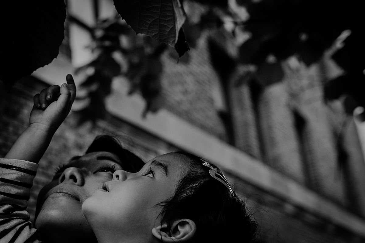 close up of mom and daughter's faces as daughter curiously looks at beautiful tree leaves. Krystil mcdowall photography captures your child's fleeting curiosity in lifestyle sessions