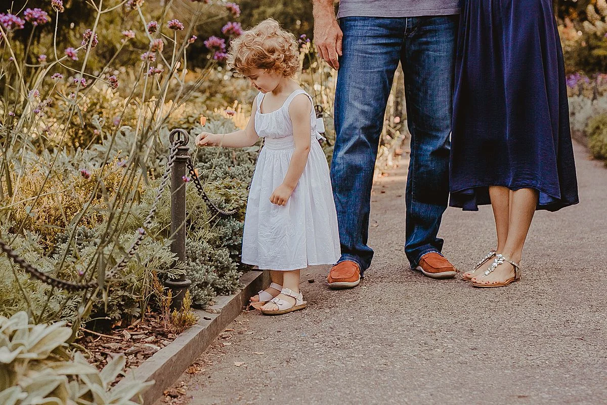 mom and dad stand by daughter as she explores bright and colorful flowers in manhattan park during fall family session in nyc