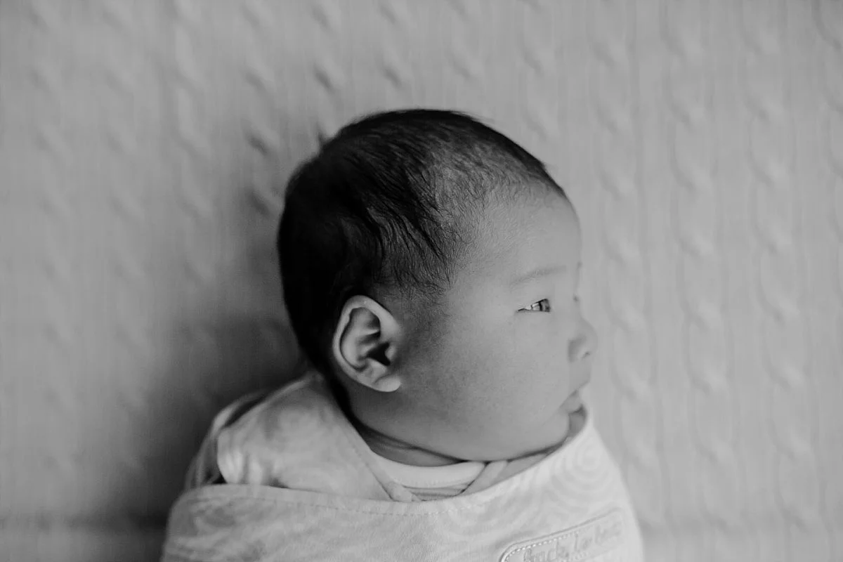 black and white photo of swaddled newborn baby boy. photographed by krystil mcdowall photography