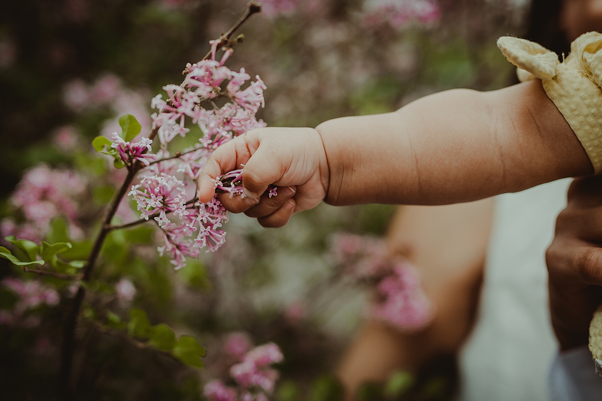 Orange County family photographer. Photo of baby's hand stretching out to grab spring flowers during outdoor family photo session with Krystil McDowall Photography