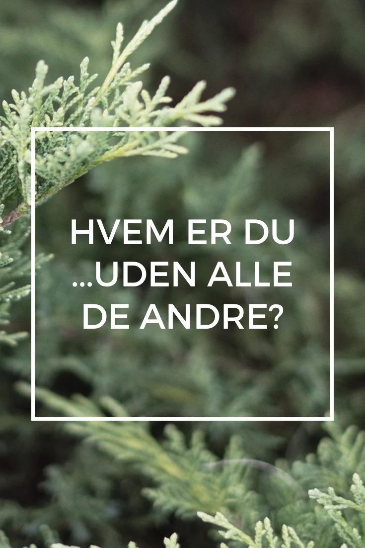 Hvem er du.. uden alle de andre?
