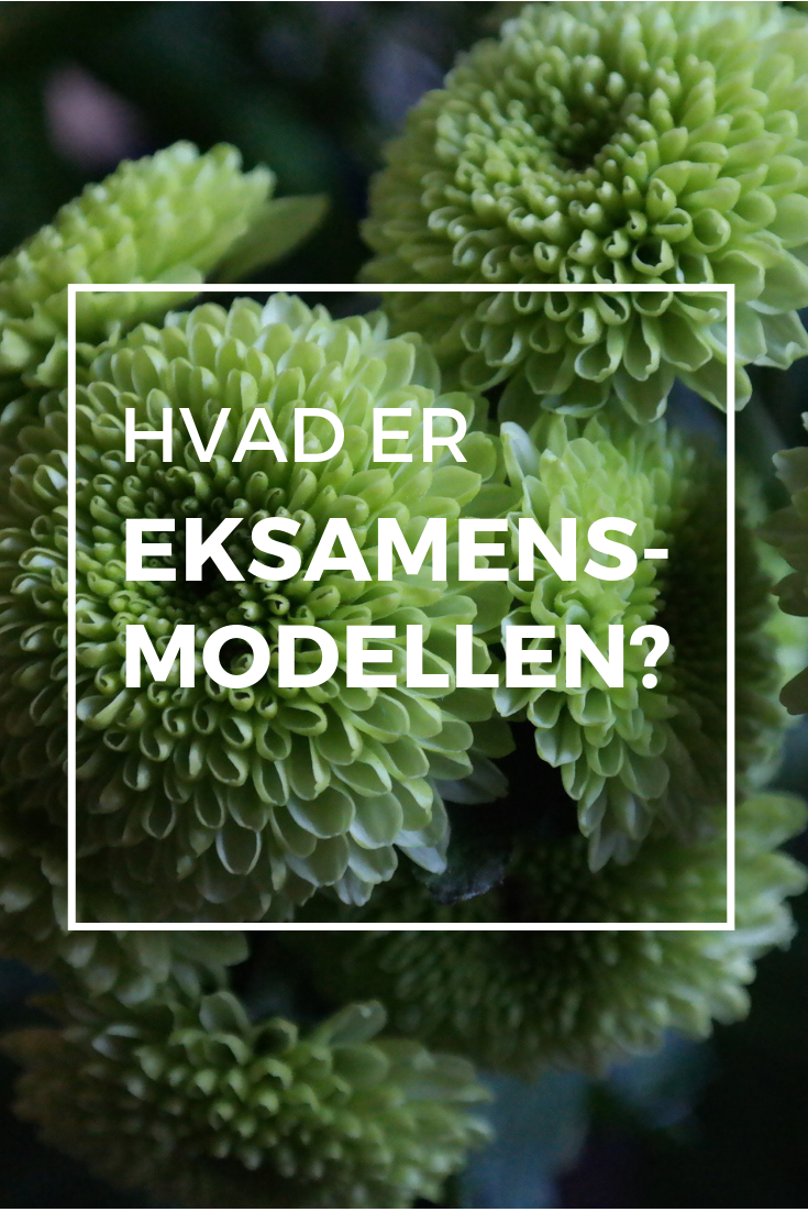 Hvad er EksamensModellen?