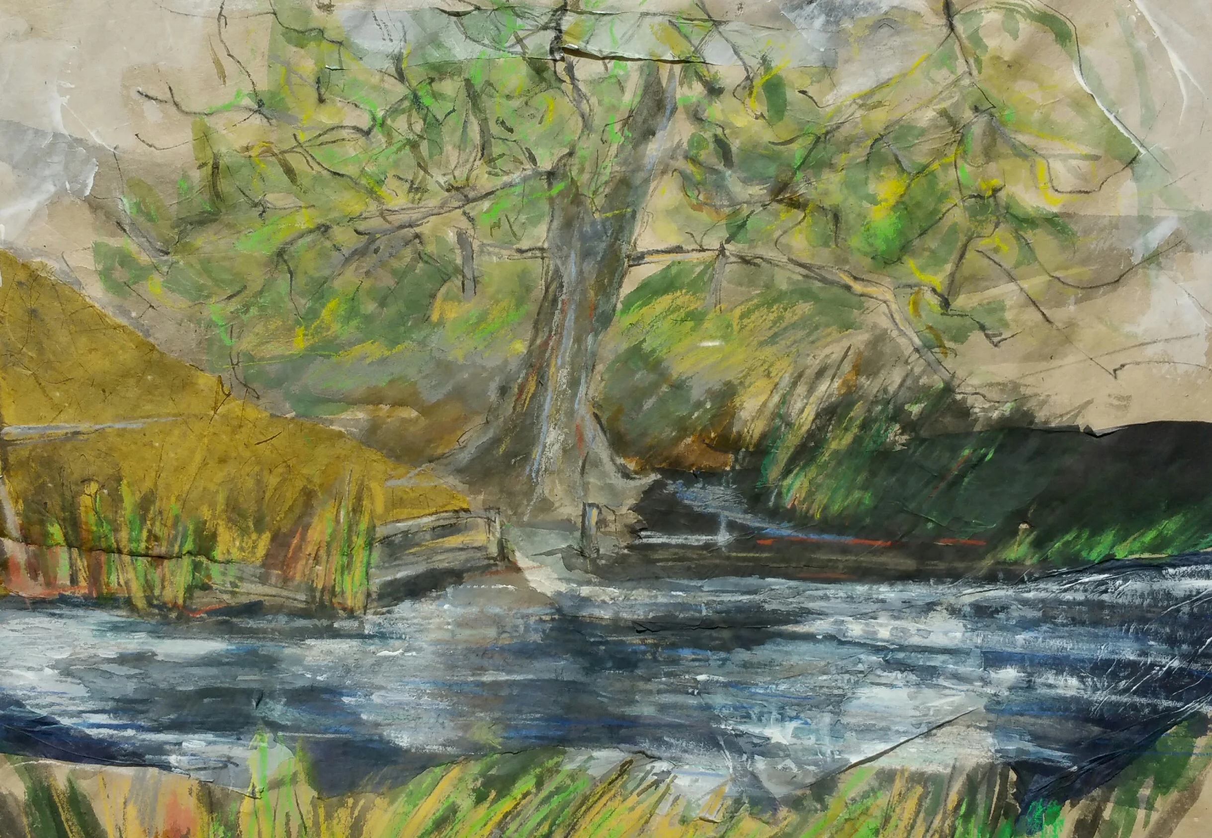 The Whirly Tree