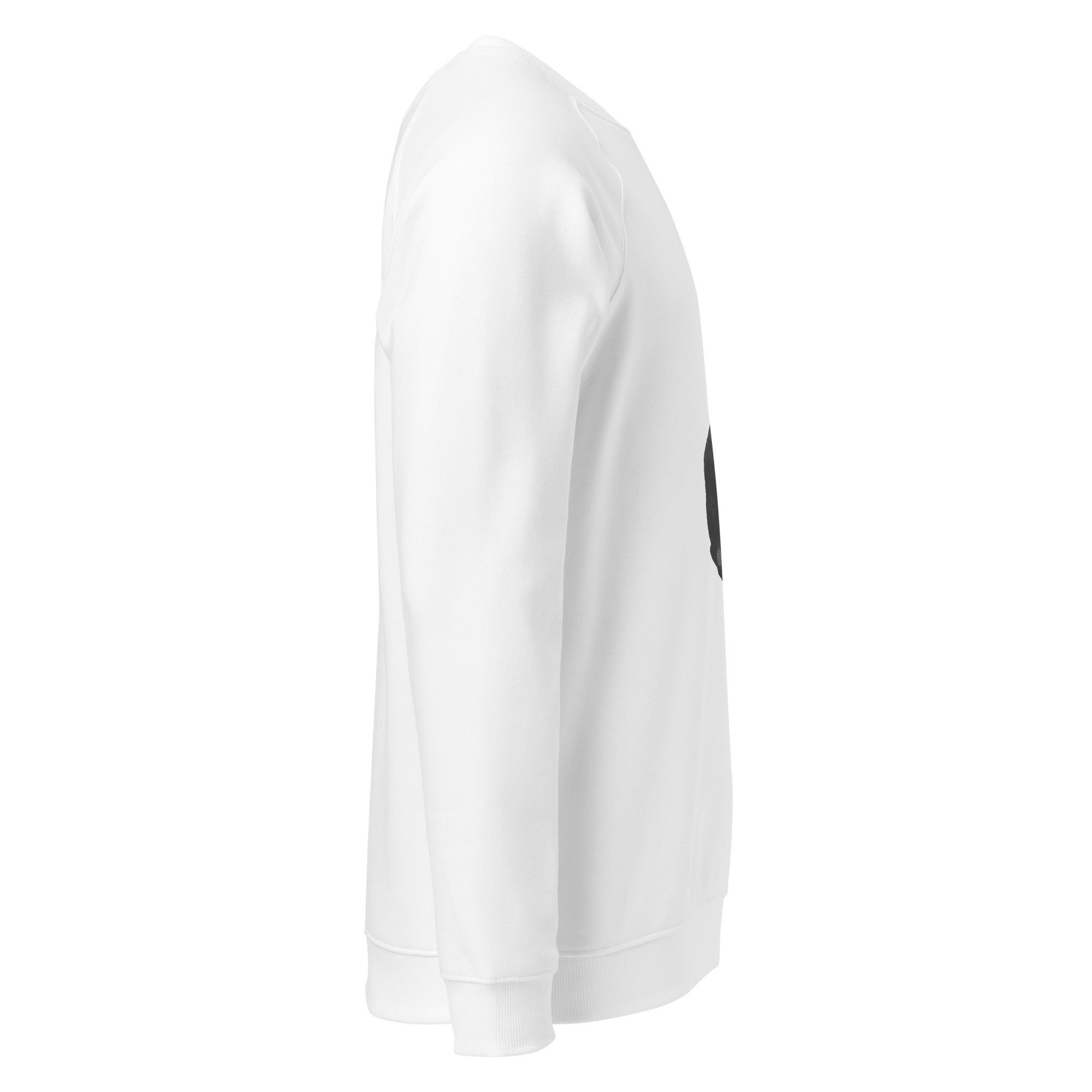 unisex-organic-raglan-sweatshirt-white-right-69efc29d67619.jpg