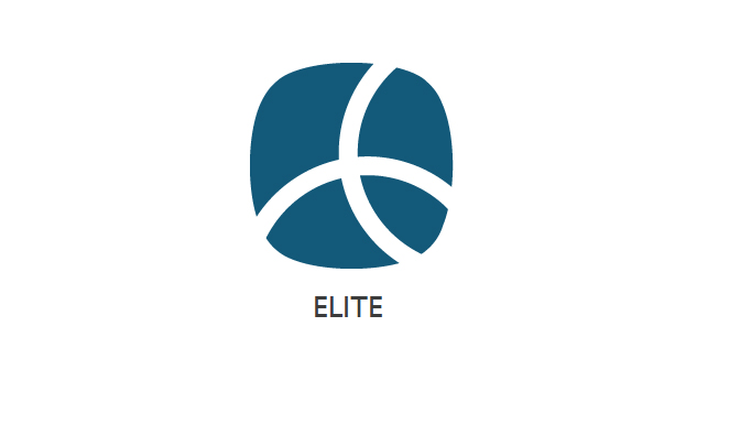 Stripe-Elite.png