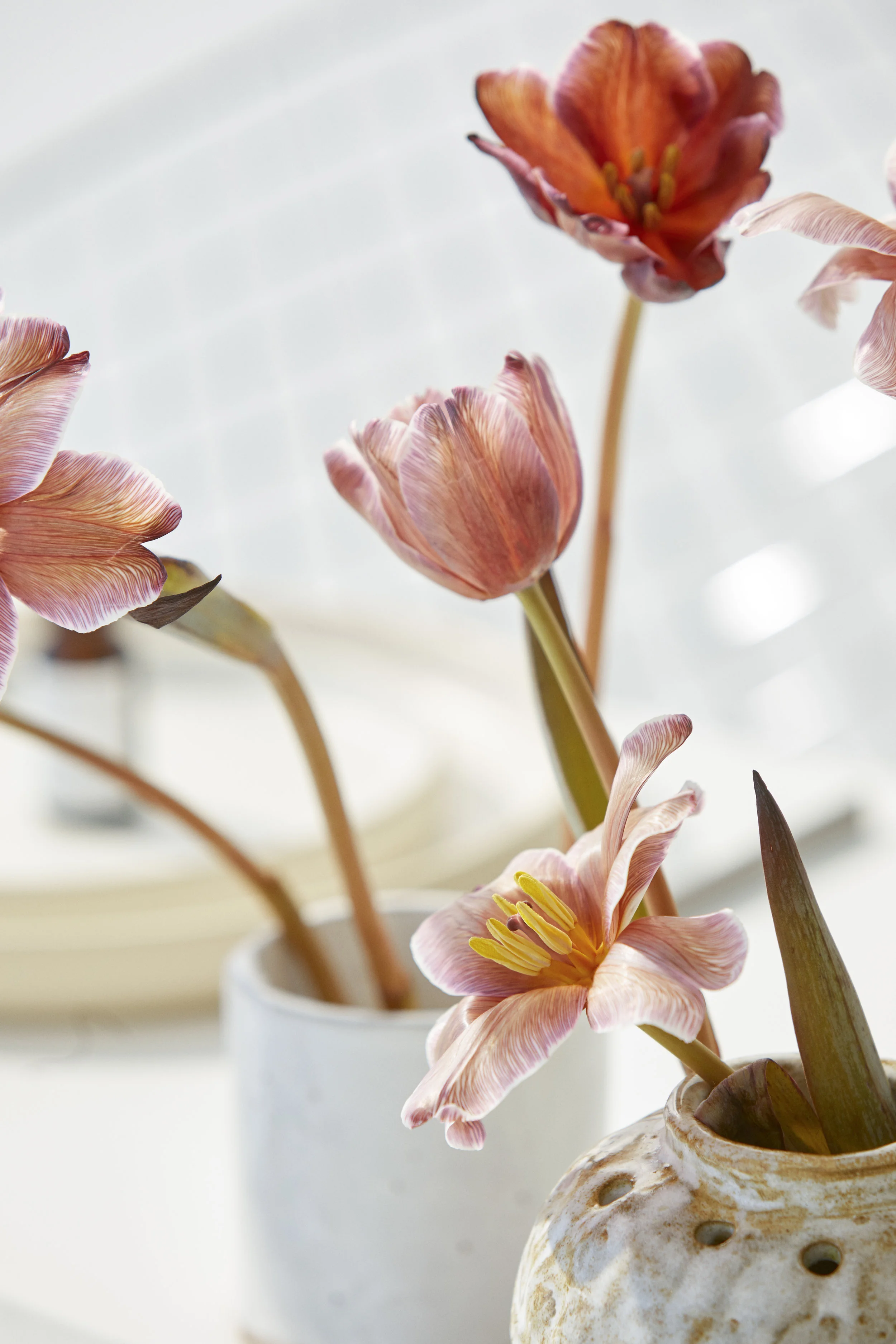 STORI_MARCH0920194367.jpg