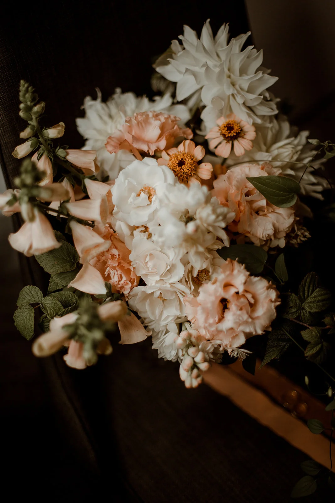 sarahwhitephoto-64.jpg