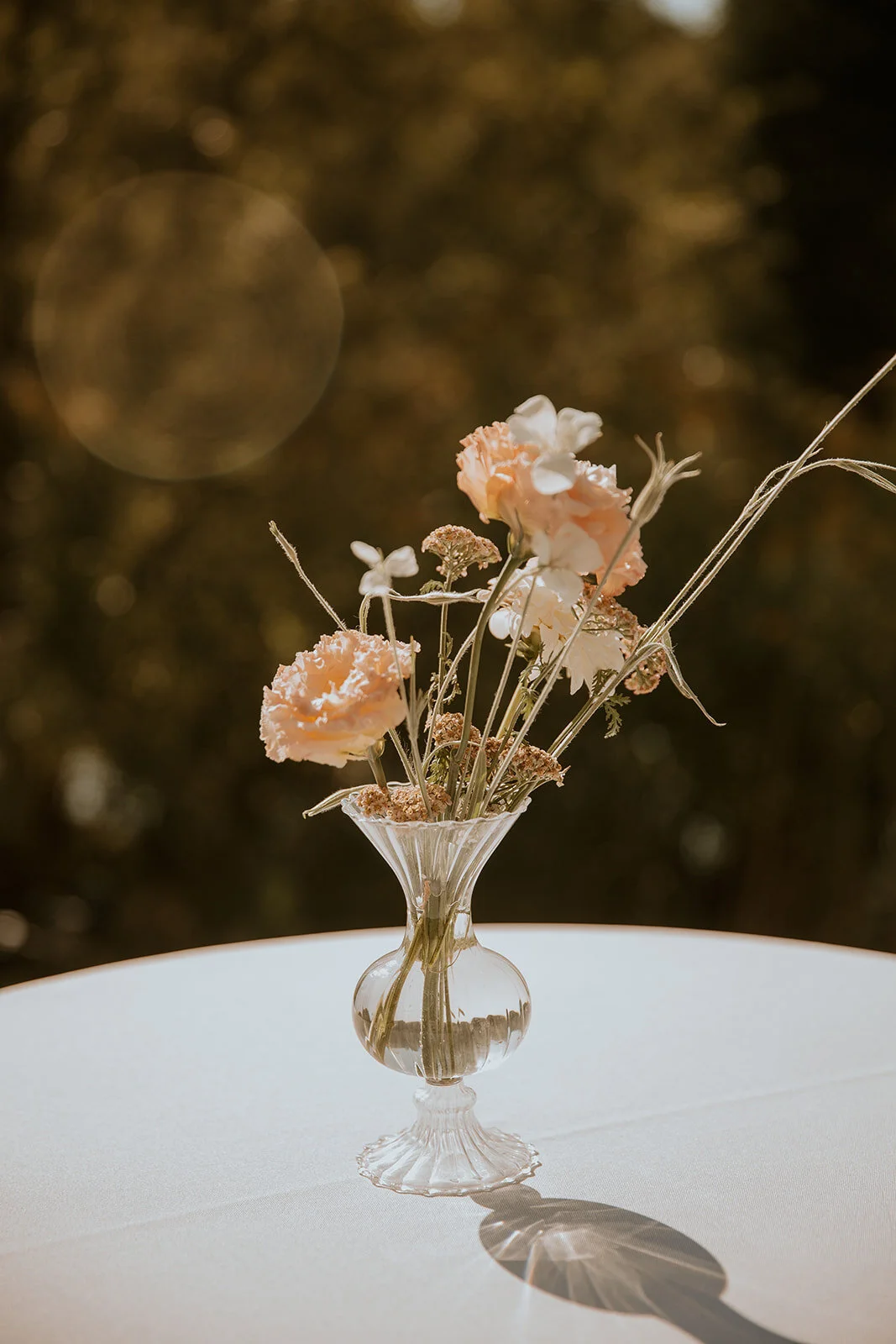 sarahwhitephoto-204.jpg