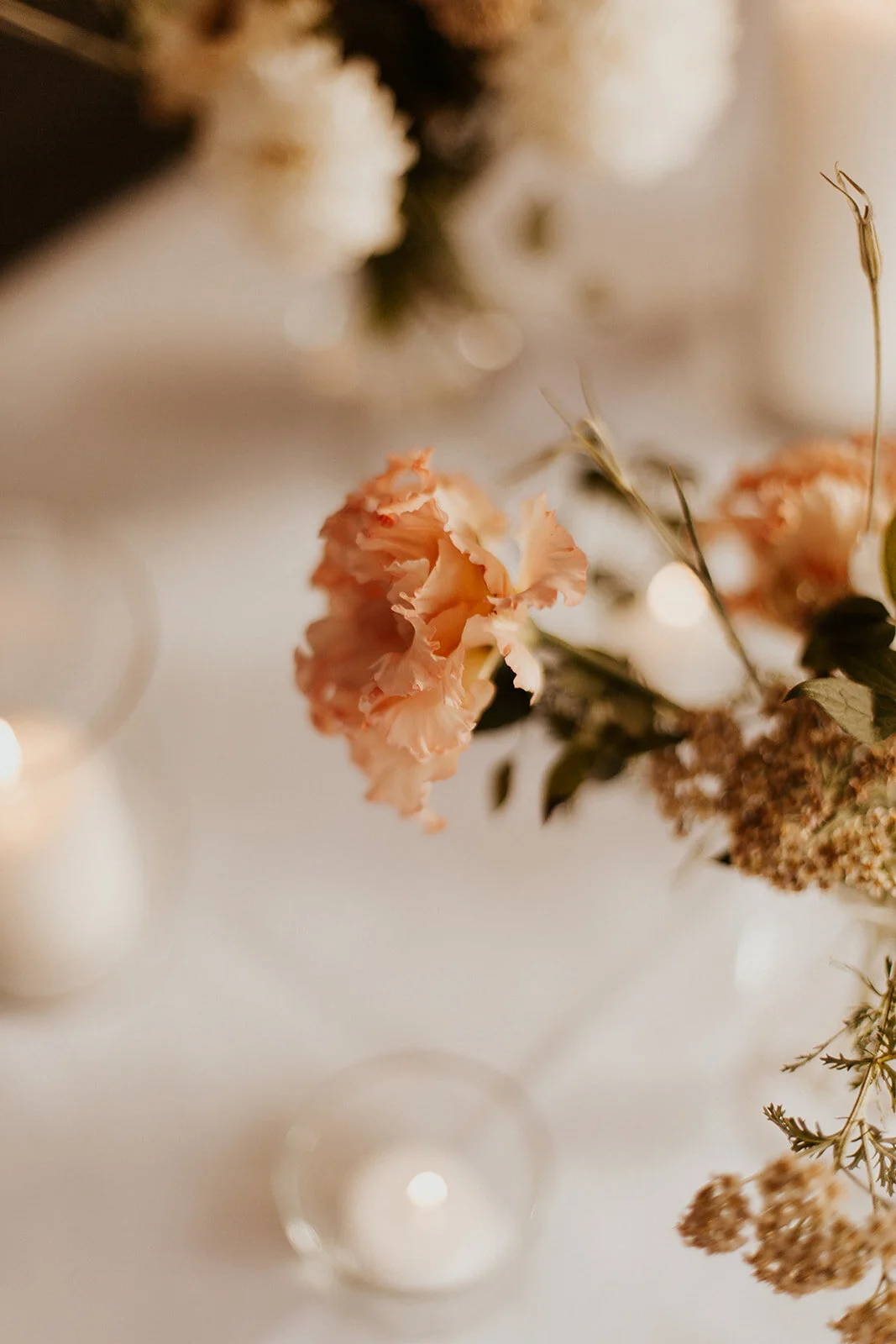 sarahwhitephoto-581.jpg