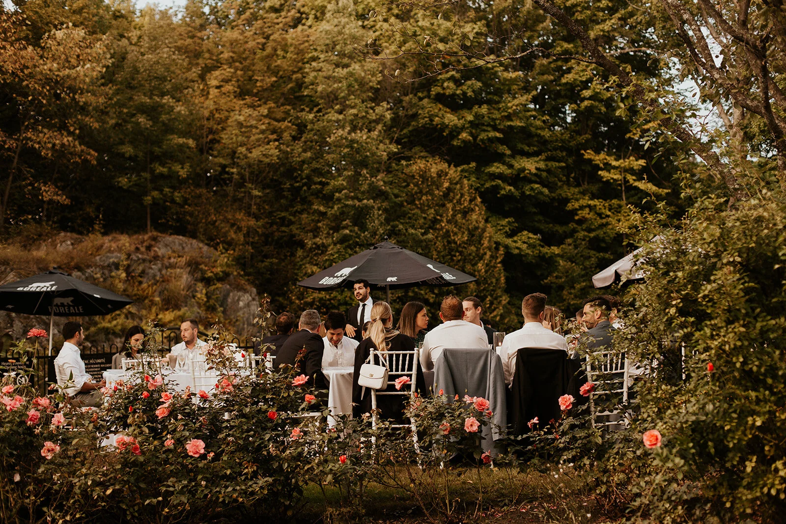 sarahwhitephoto-684.jpg