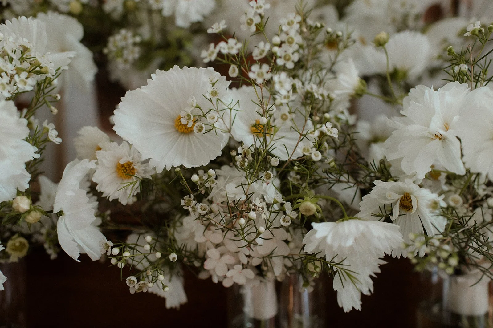 In the warm embrace of August 2023, beneath the azure skies and amidst the fields of PEC, a love story that had spanned years found its ultimate celebration. Our clients, the radiant bride and groom, embarked on a journey through time & eternity, cul