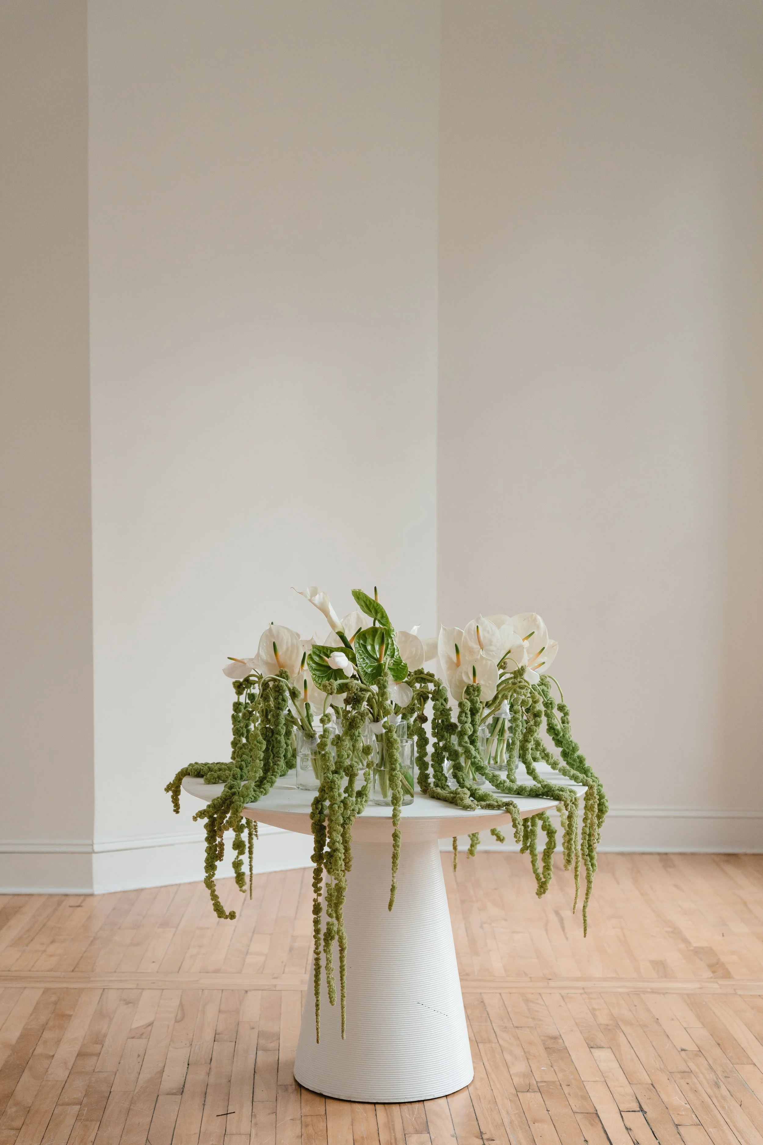 Em and Russell's wedding was a breathtaking celebration of pure love and the beginning of a beautiful journey together. Surrounded by the warmth of family and friends, their union echoed the essence of true partnership and unwavering commitment. Witn