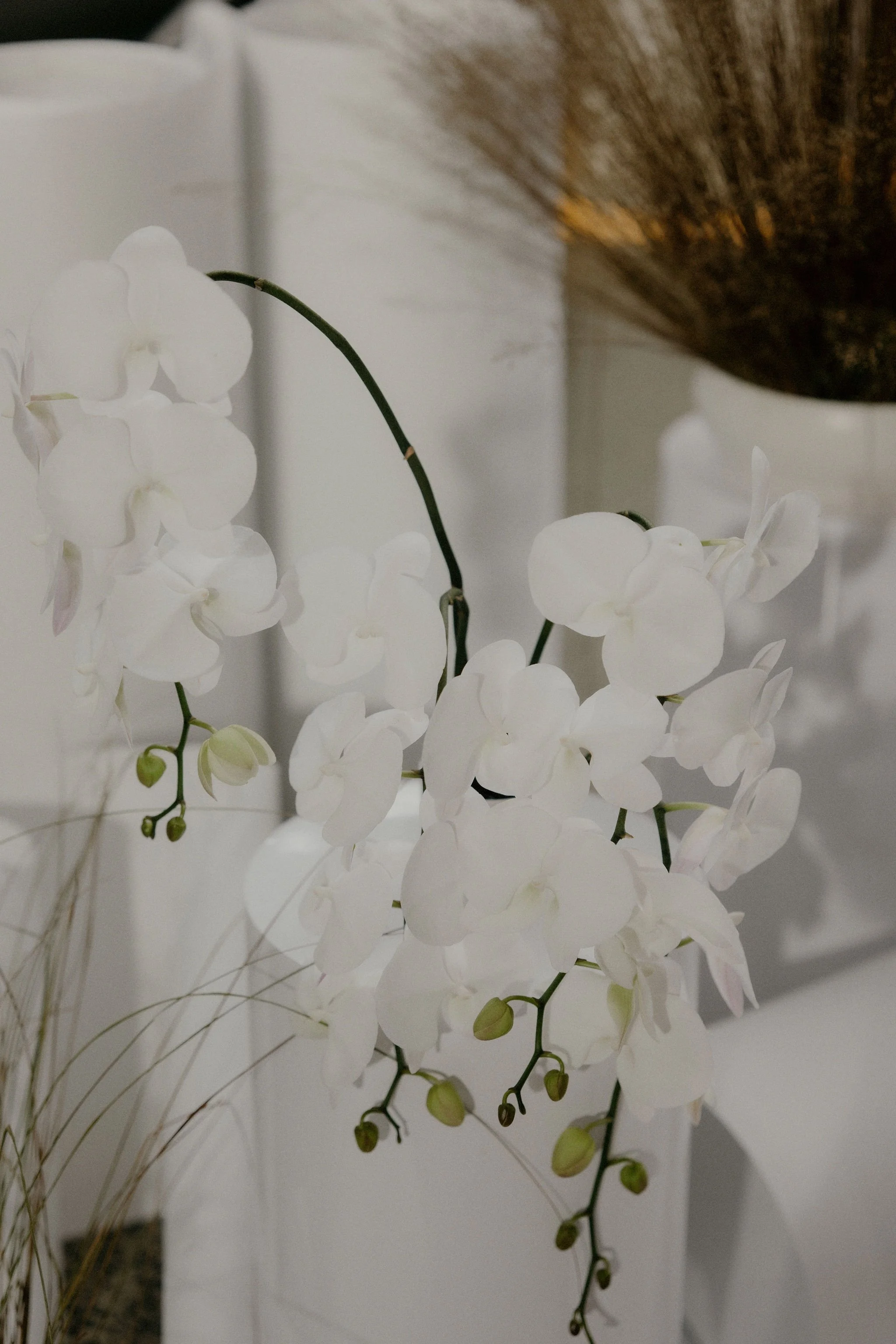 Samantha and Michael's wedding was a masterpiece of simplicity and grace. Every detail meticulously curated to embrace the beauty of minimalism. The venue exuded an airy elegance that perfectly captured the essence of their love story. From start to 