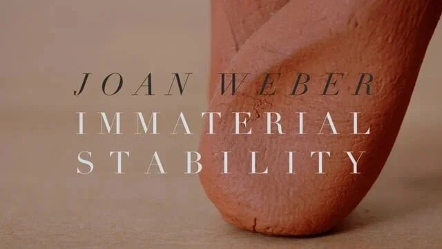 Joan Weber: Immaterial Stability