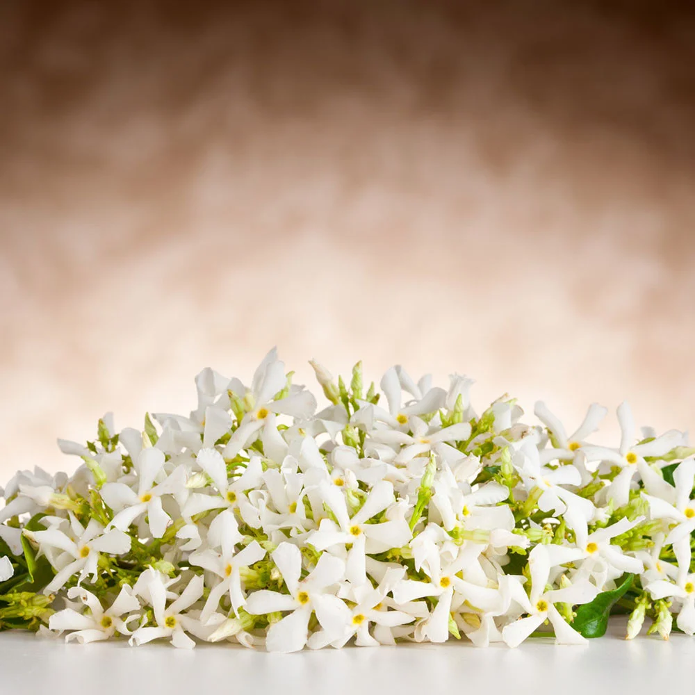 Neroli 2.jpg