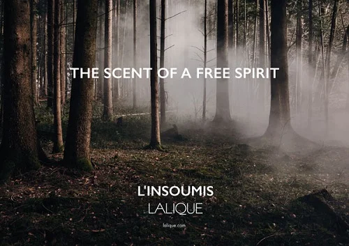 L'Insoumis 3.jpg