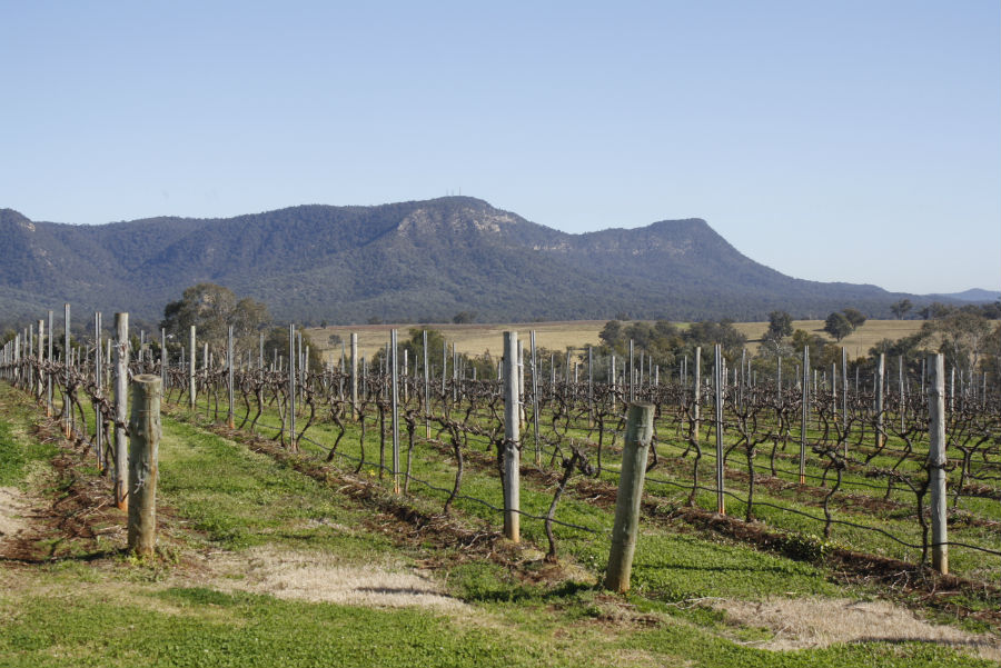 Mr-W_Weekender_Hunter-Valley_12.jpg