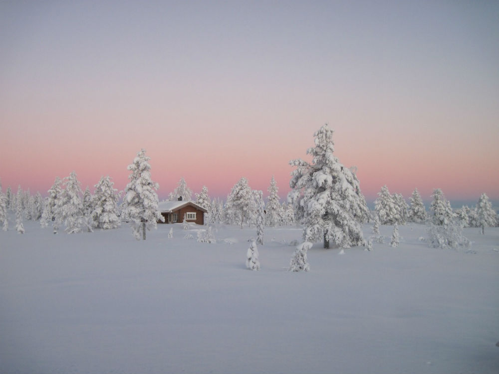 Log-cabin-in-a-Norwegian-boreal-forest.jpg