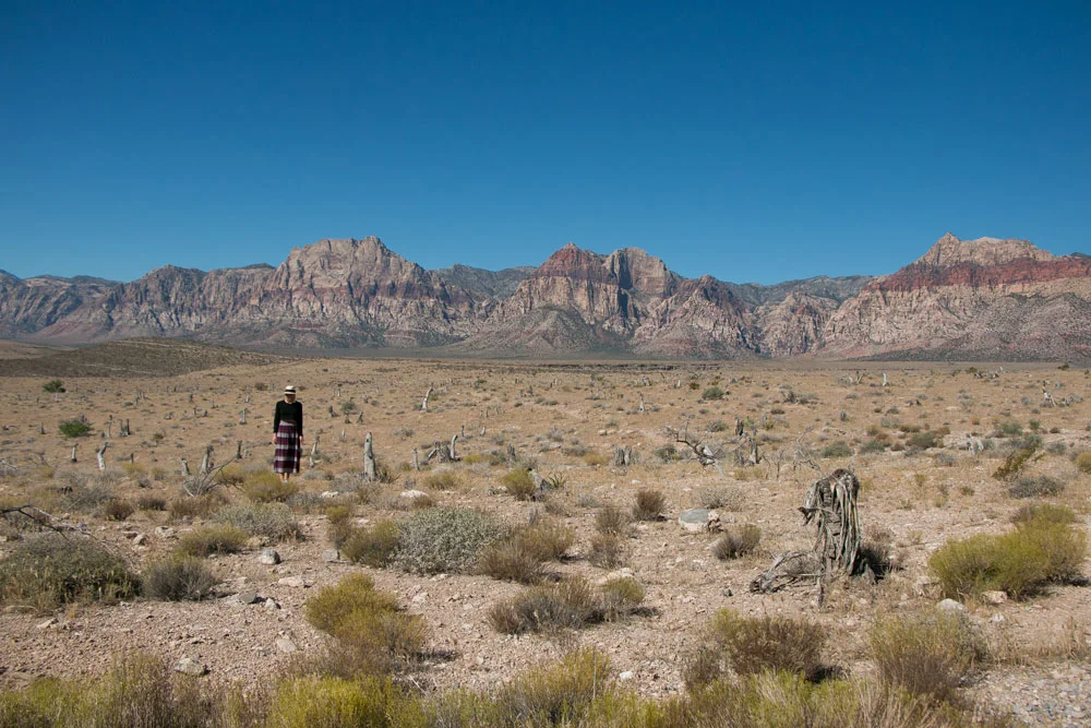 Red-Rock-Canyon-Mister-Weekender-8.jpg