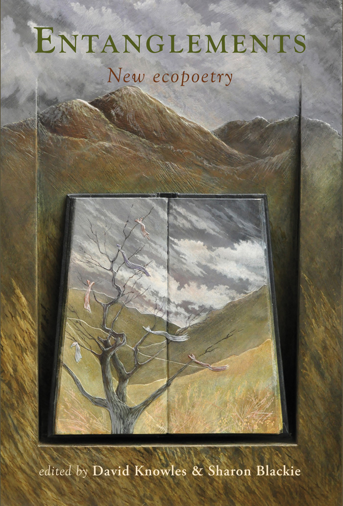  'Entanglements' book cover 