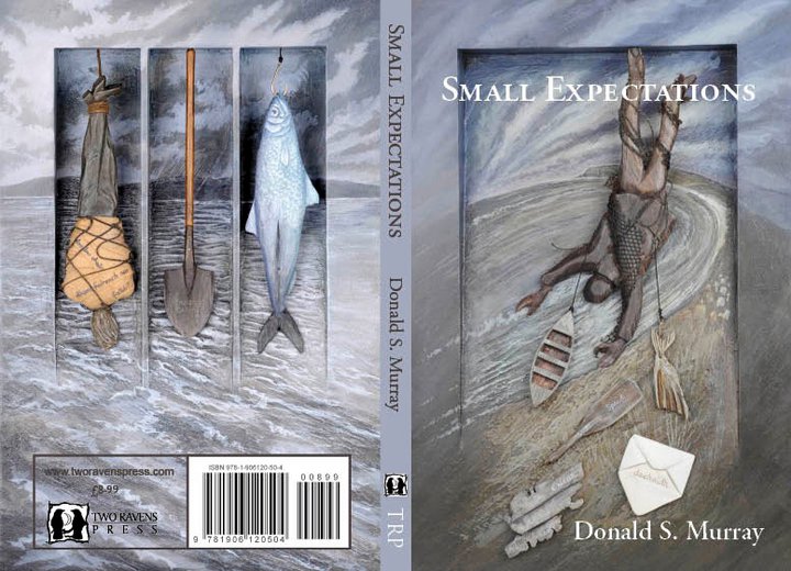  'Small Expectations' Book Cover 