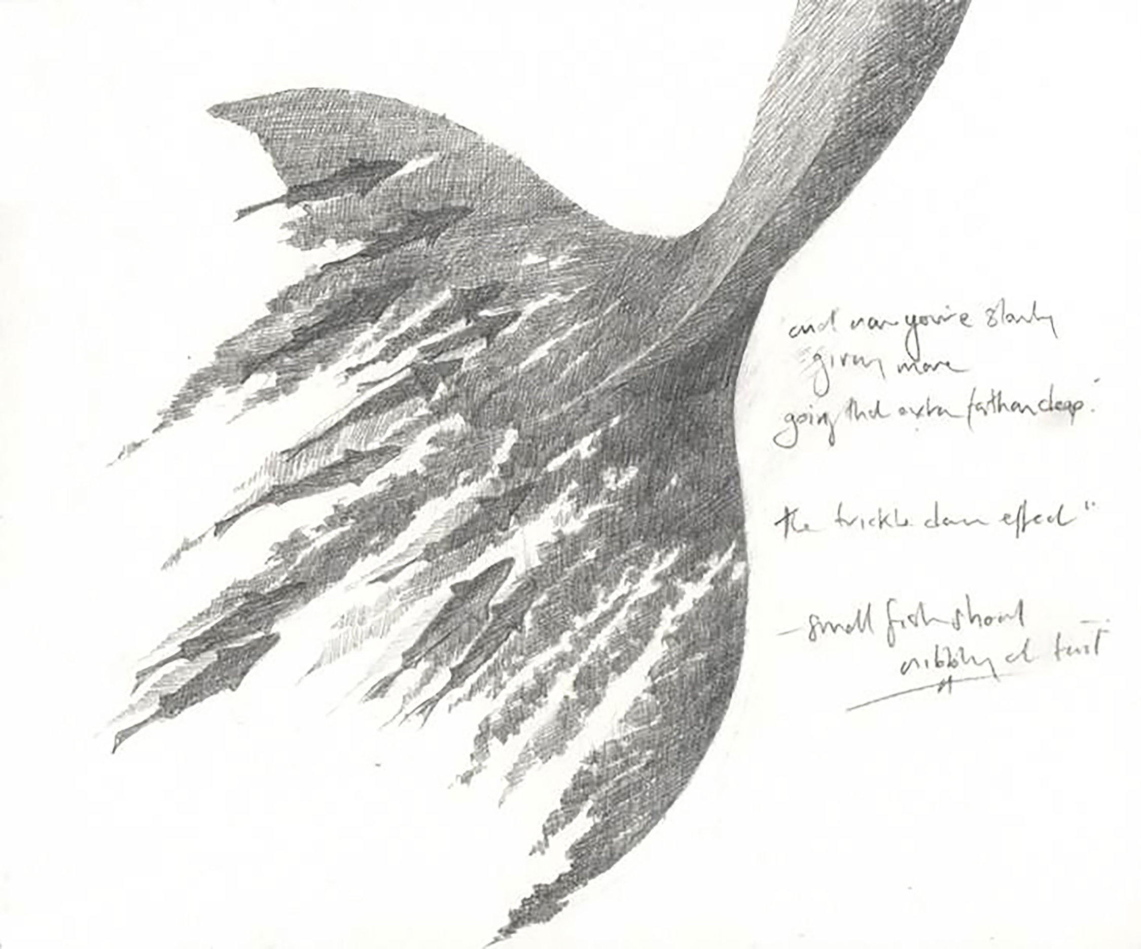  'Whalefall - Fluke' from  A Whistling of Birds  collaboration with poet  Isobel Dixon  