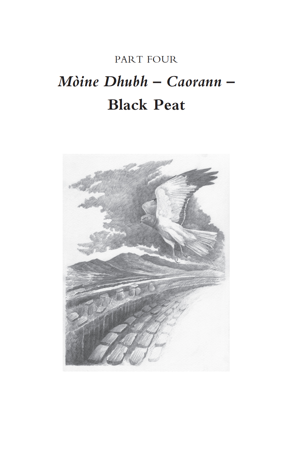 black peat book final.jpg