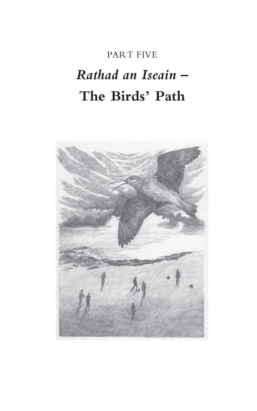 bird's path final book.jpg