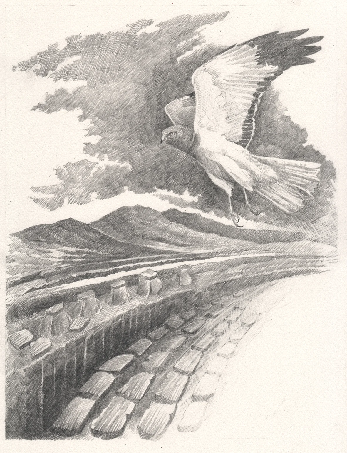 Moine Dhubh - Caorann - Black Peat