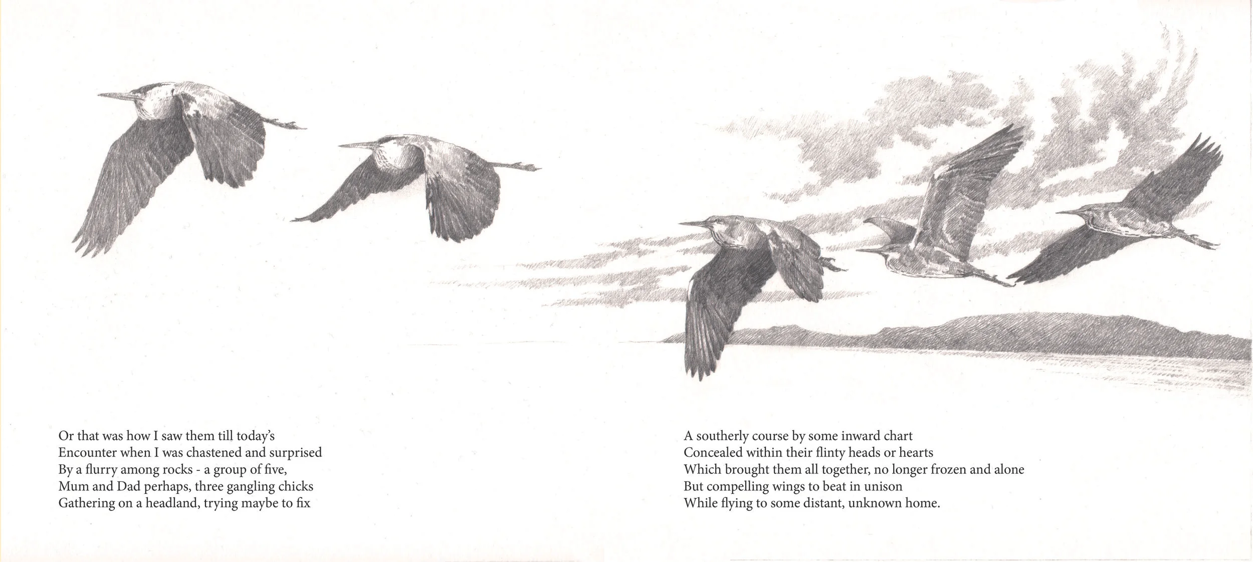 Herons II
