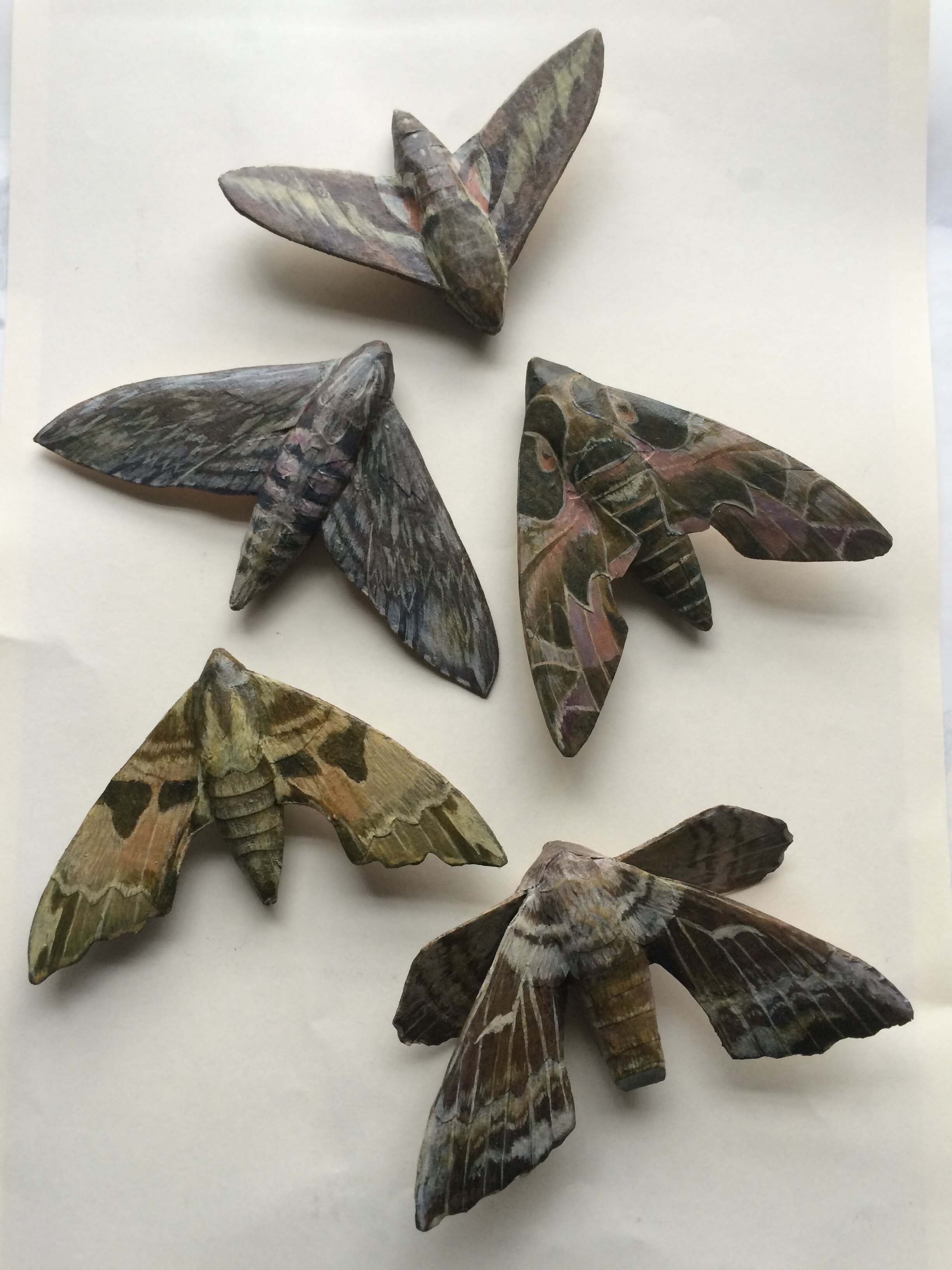  Carved Hawkmoths  from A Whistling of Birds collaboration with poet Isobel Dixon 