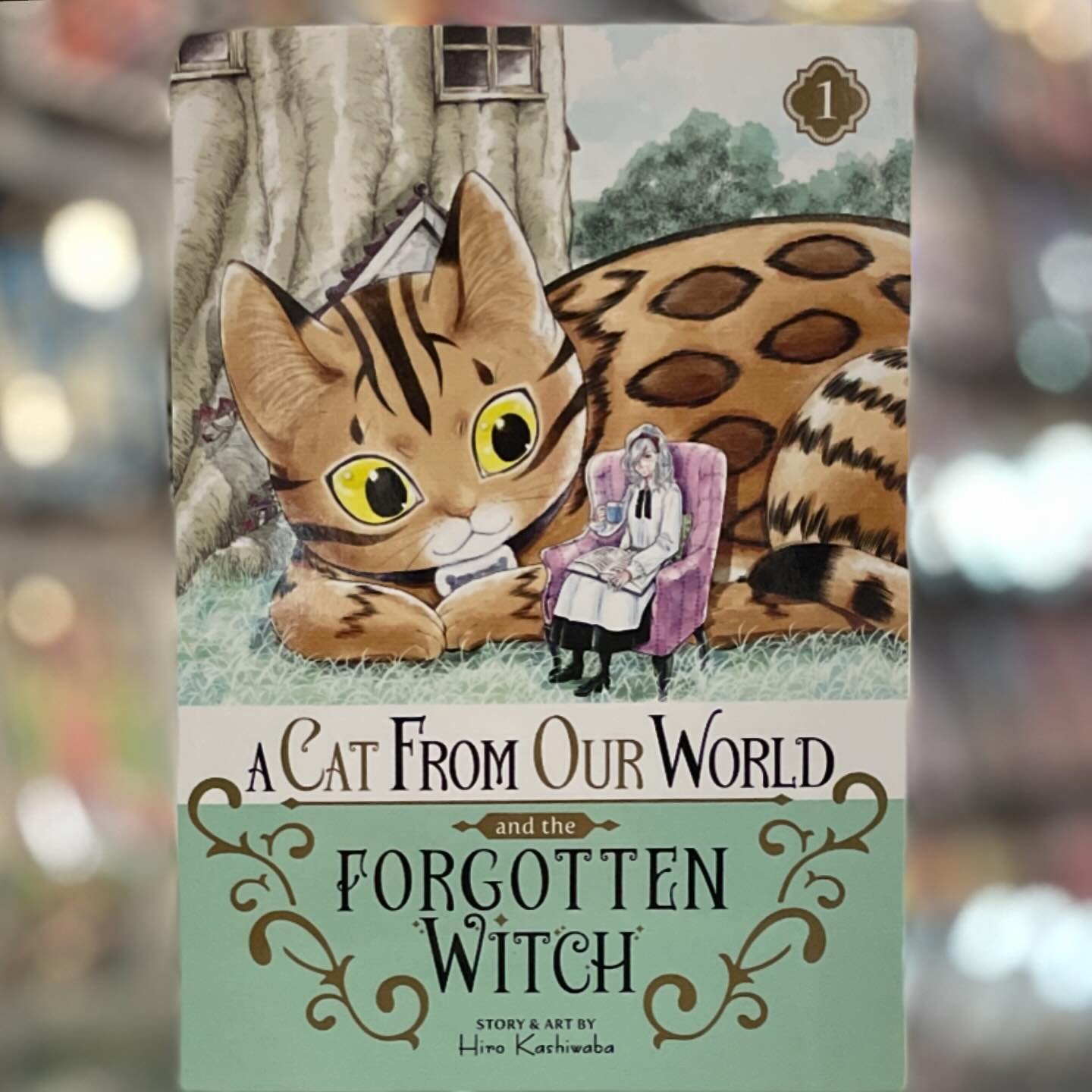In her youth, Jeanne was a powerful witch who vanquished the evil Demon King and saved the world-but over time, the people she rescued have forgotten her. Now she is a lonely old woman living in a secluded forest... until she accidentally summons a c