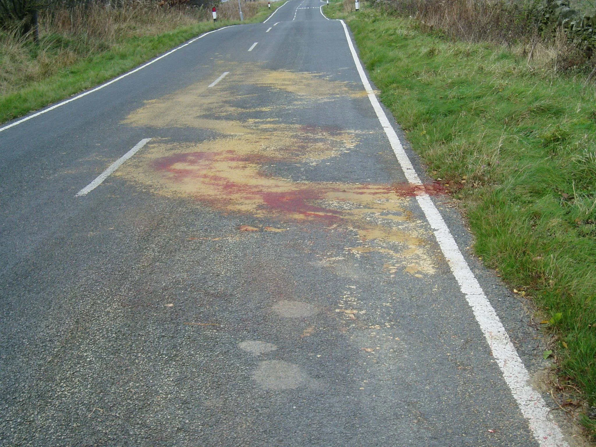 This grim image is the result of a pony being killed on the road as he jumped out of his field and was hit by a car. This happened because he was frightened by nearby fireworks. Be safe – look out for your horse and keep him safe. Don't consider hacking out, you can always do that another day. It simply isn't worth the risk!