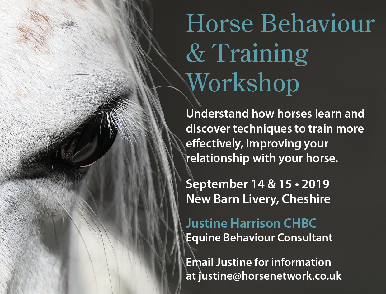 Training Workshop ad.jpg