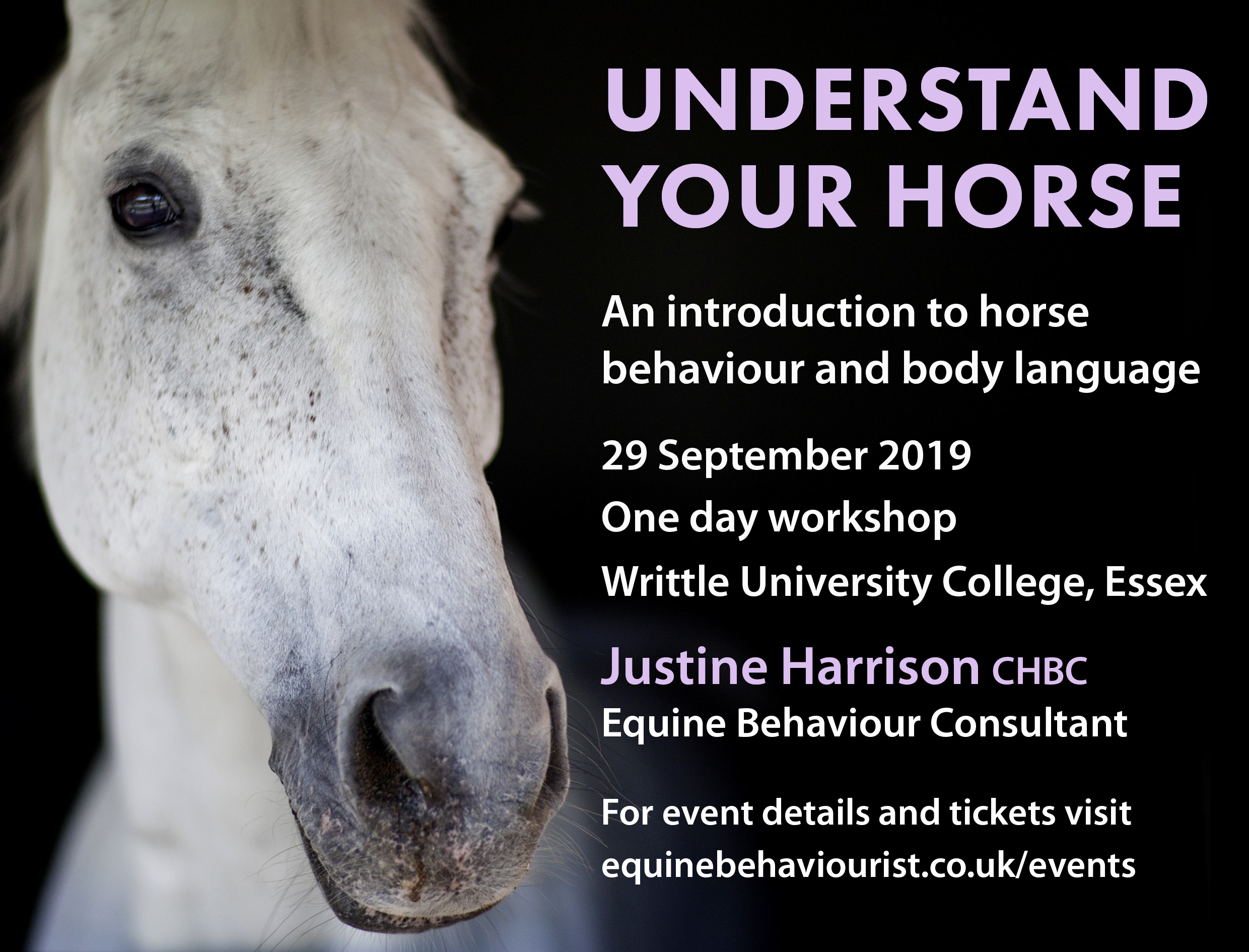 UNDERSTAND YOUR HORSE