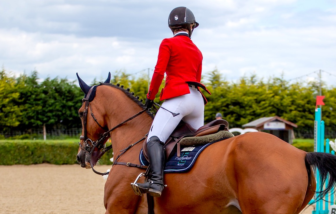 Whip use in showjumping