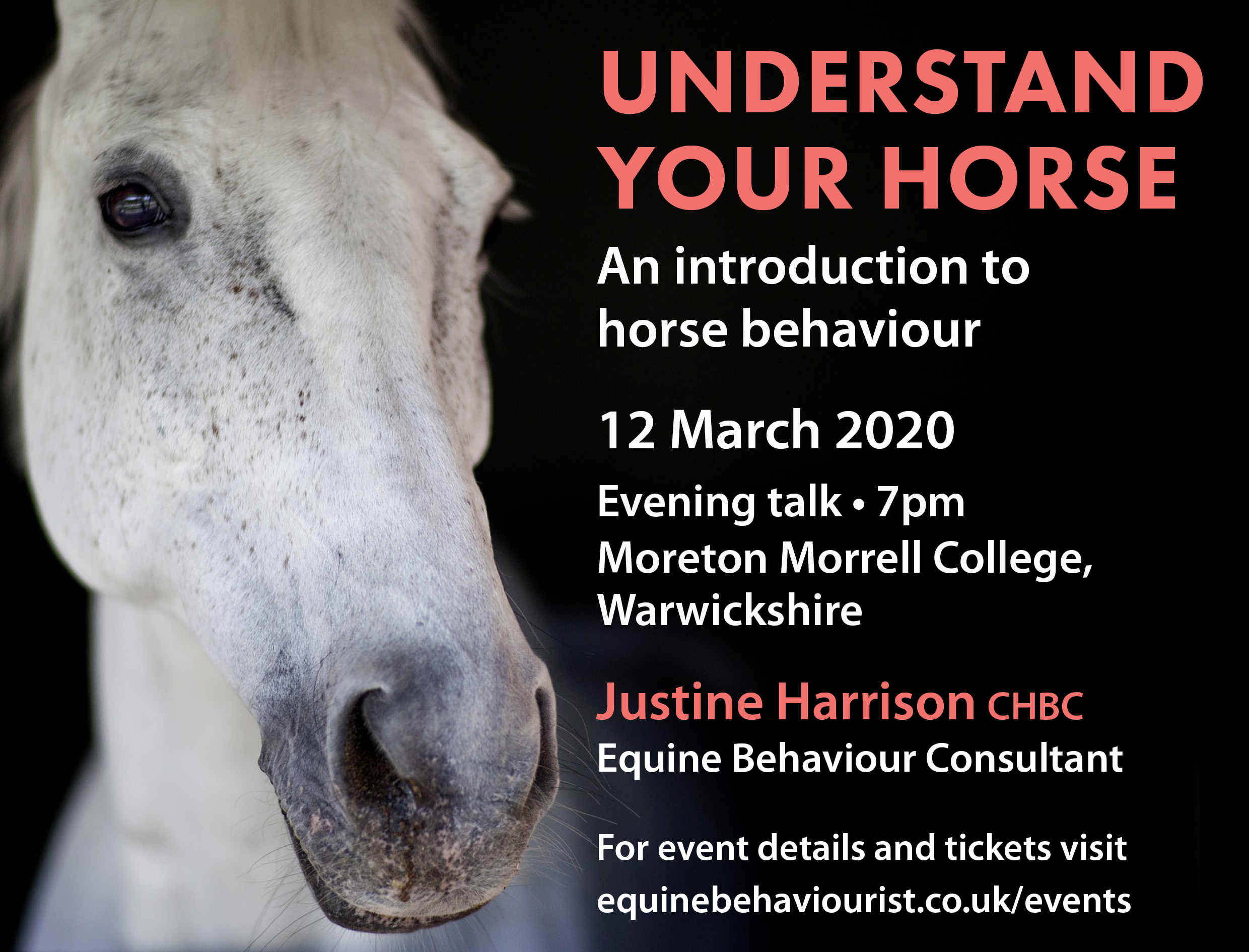 UNDERSTAND YOUR HORSE – INTRODUCTION TO HORSE BEHAVIOUR