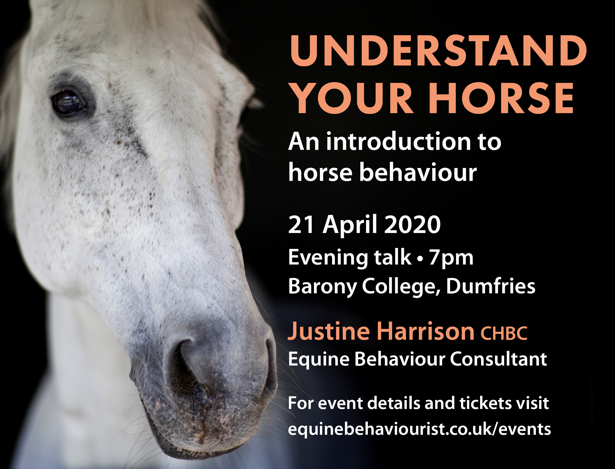 UNDERSTAND YOUR HORSE – INTRODUCTION TO HORSE BEHAVIOUR