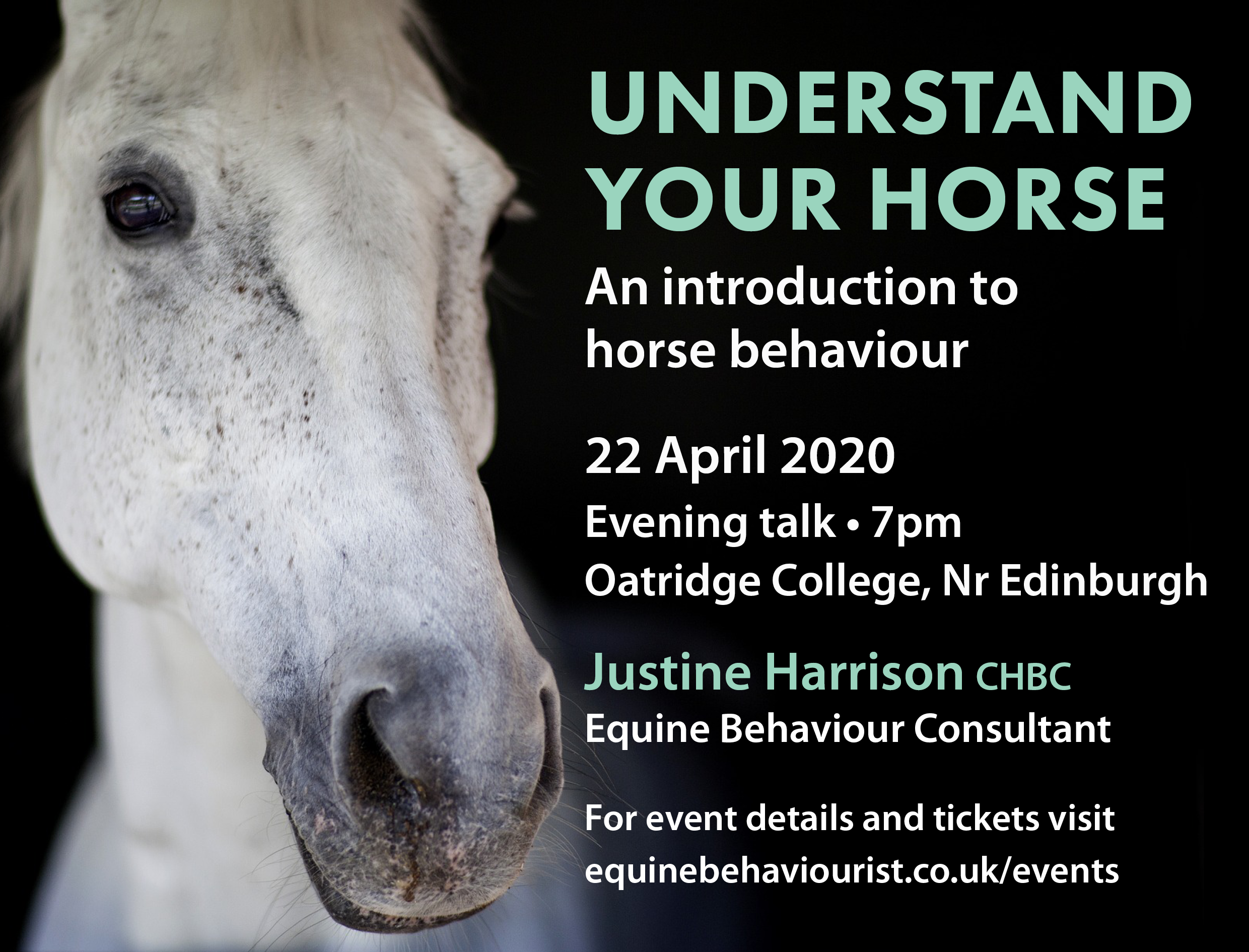 UNDERSTAND YOUR HORSE – INTRODUCTION TO HORSE BEHAVIOUR